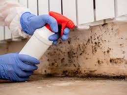 Best Mold Removal for HVAC Installations  in South Russell, OH